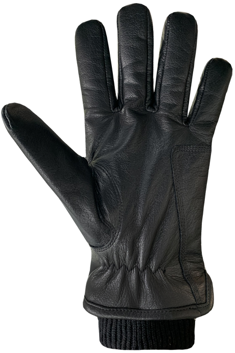 Auclair Aiden Glove Men's