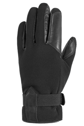 Auclair Miguel Gloves Men's