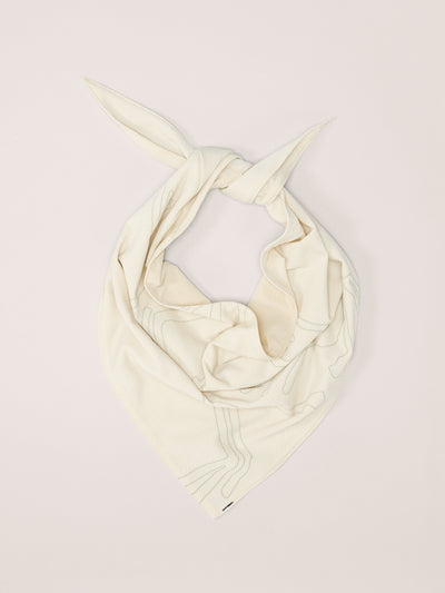 Arc'teryx Sinsolo Bandana