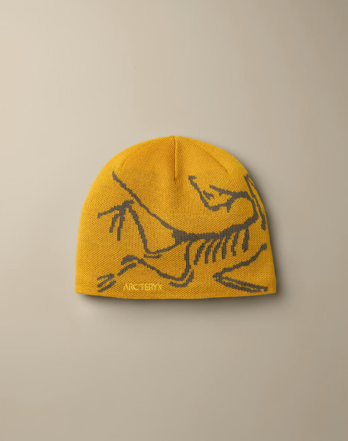 Arc'teryx Bird Head Toque