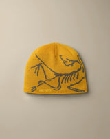 Arc'teryx Bird Head Toque