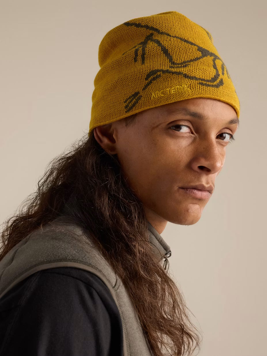 Arc'teryx Bird Head Toque