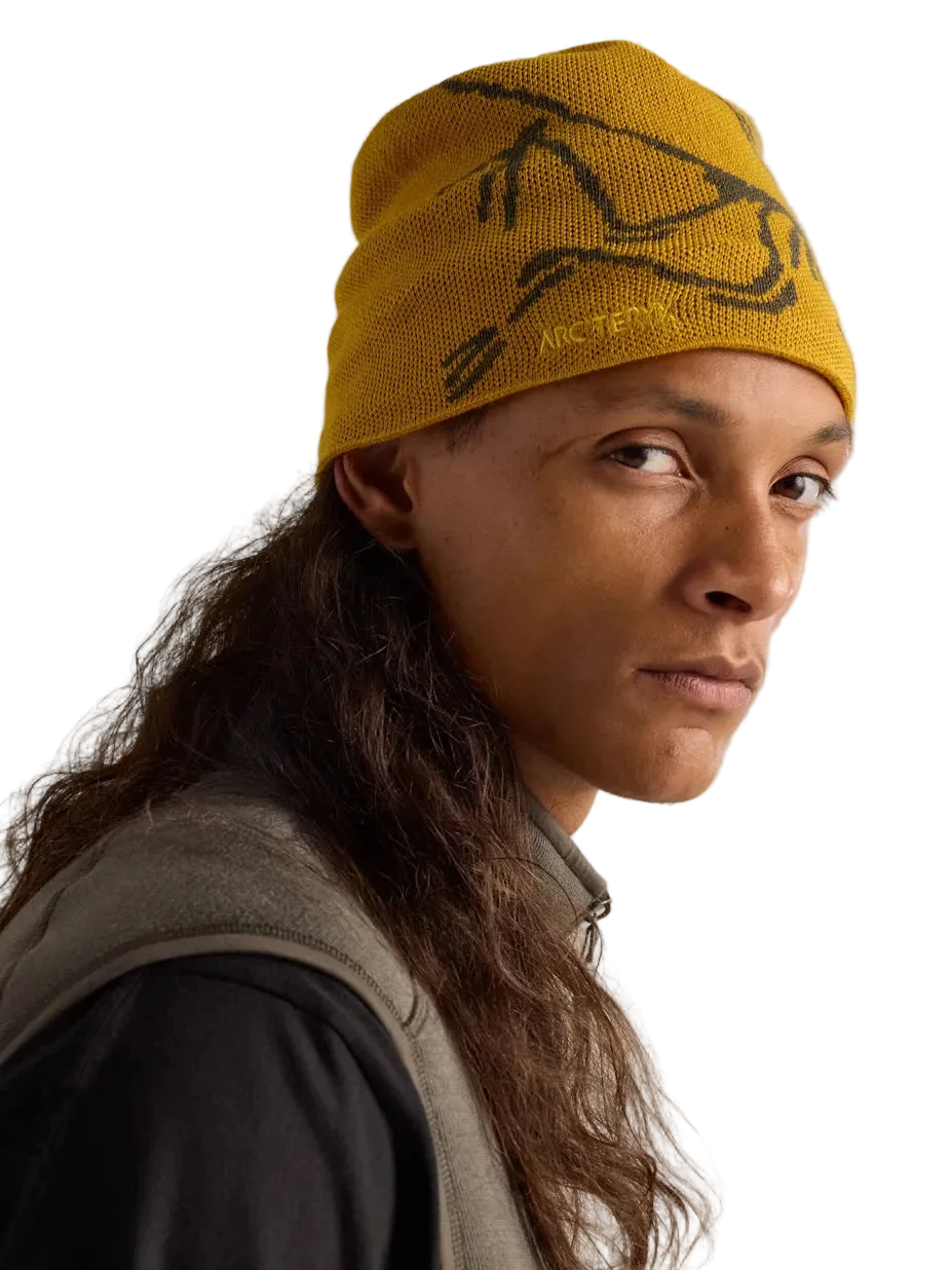 Arc'teryx Bird Head Toque – Trailhead Paddle Shack