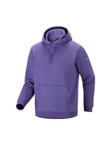 Arc'teryx Emblem Fleece Hoody Men's