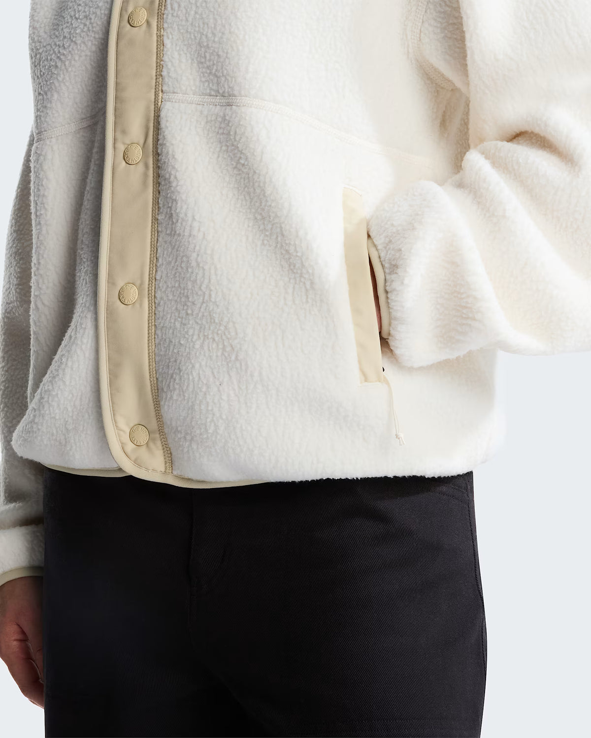 The North Face Cragmont Snap Front Fleece Jacket Women's