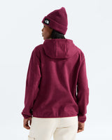 The North Face Performance Fleece Full Zip Hoodie Women's