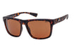 Atmosphere Baffin Sunglasses