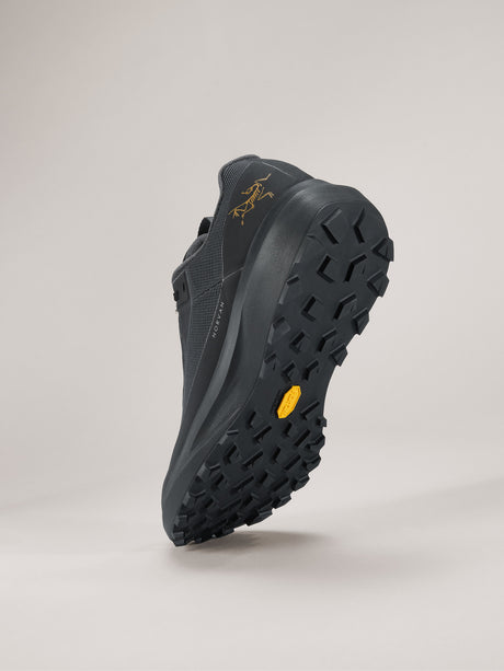 Arc'teryx Norvan LD 4 GTX Shoe Men's