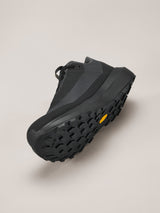 Arc'teryx Norvan LD 4 GTX Shoe Men's