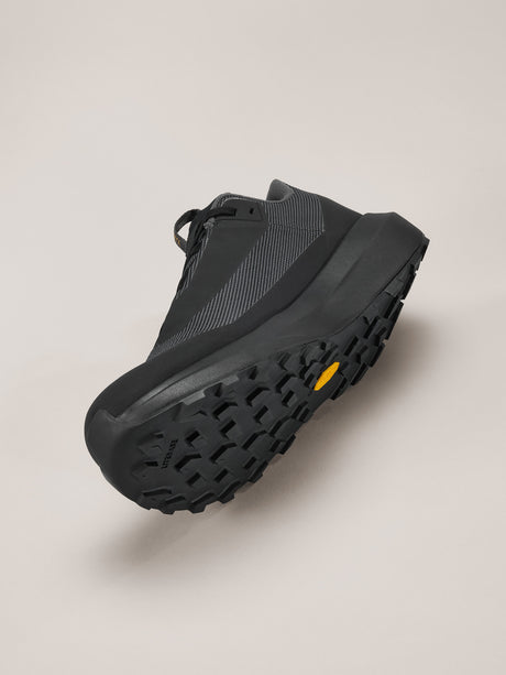 Arc'teryx Norvan LD 4 GTX Shoe Men's