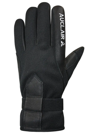 Auclair Lillehammer Glove Women's
