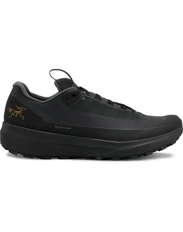 Arc'teryx Norvan LD 4 GTX Shoe Men's