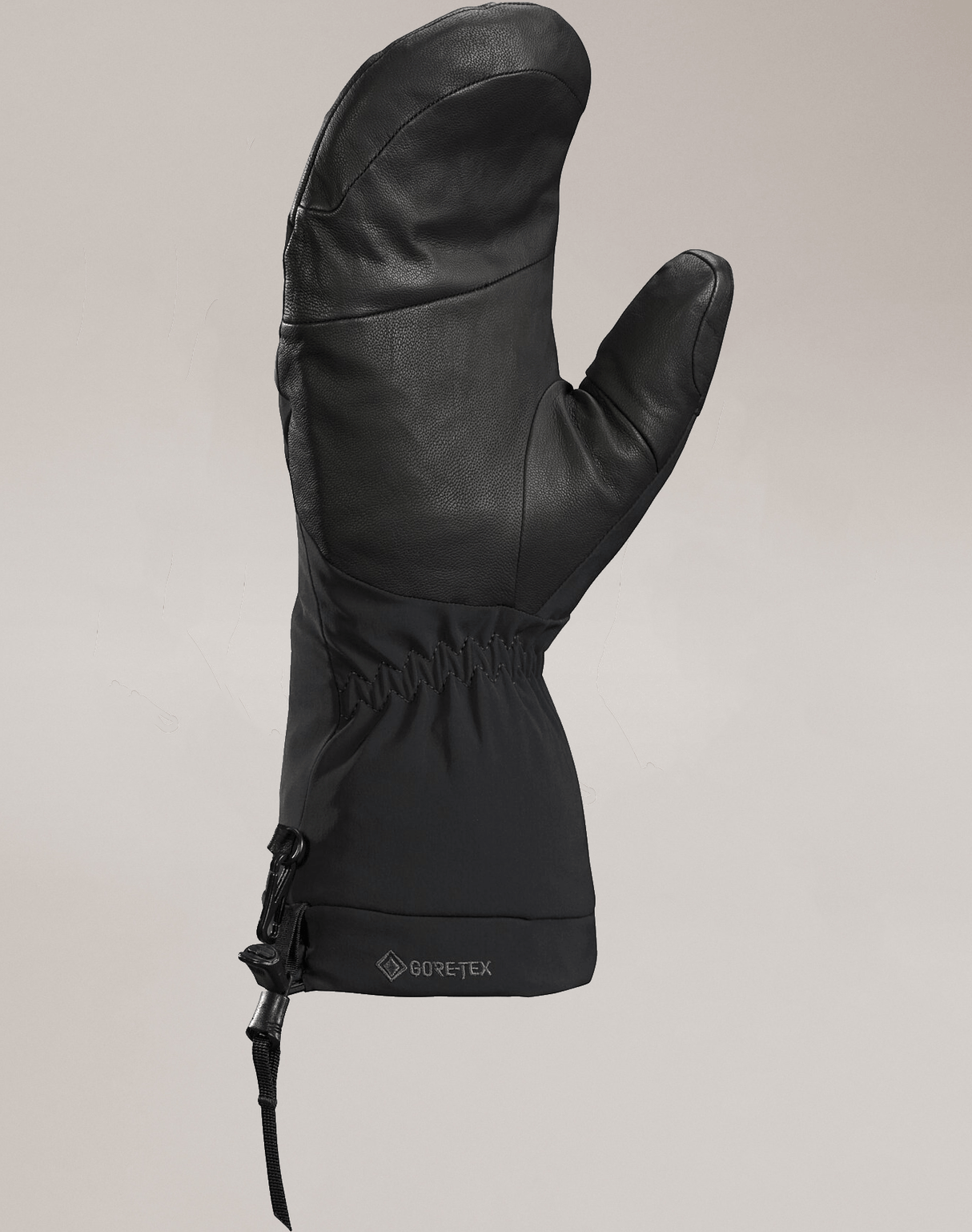 Arc'teryx Fission SV Mitten