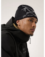 Arc'teryx Bird Head Toque