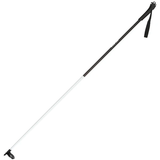 Rossignol FT-500 Ski Pole