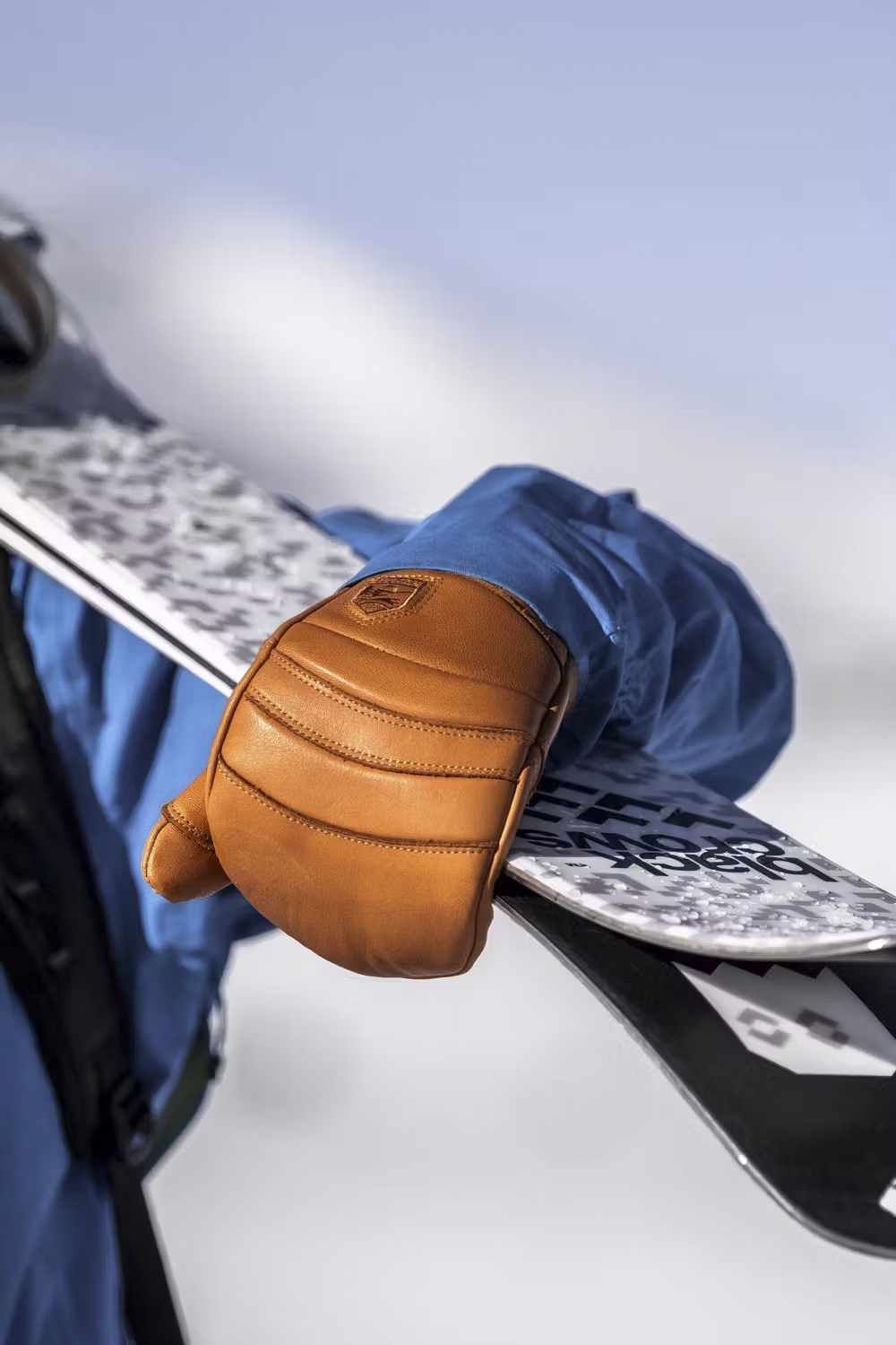 Hestra Fall Line Mitt