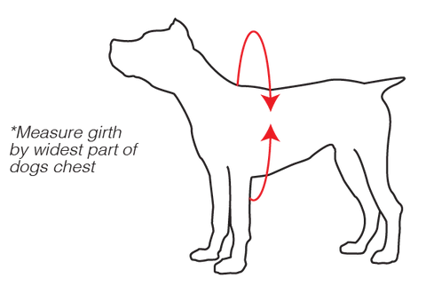 Level Six Rover Floater Dog PFD M