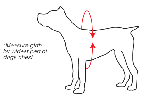 Level Six Rover Floater Dog PFD XS/S