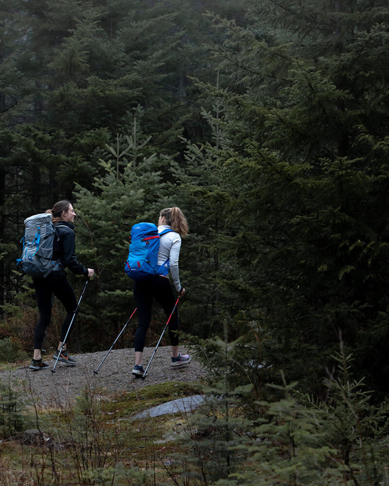 Life Sports Gear Easy Trail Hiking Poles