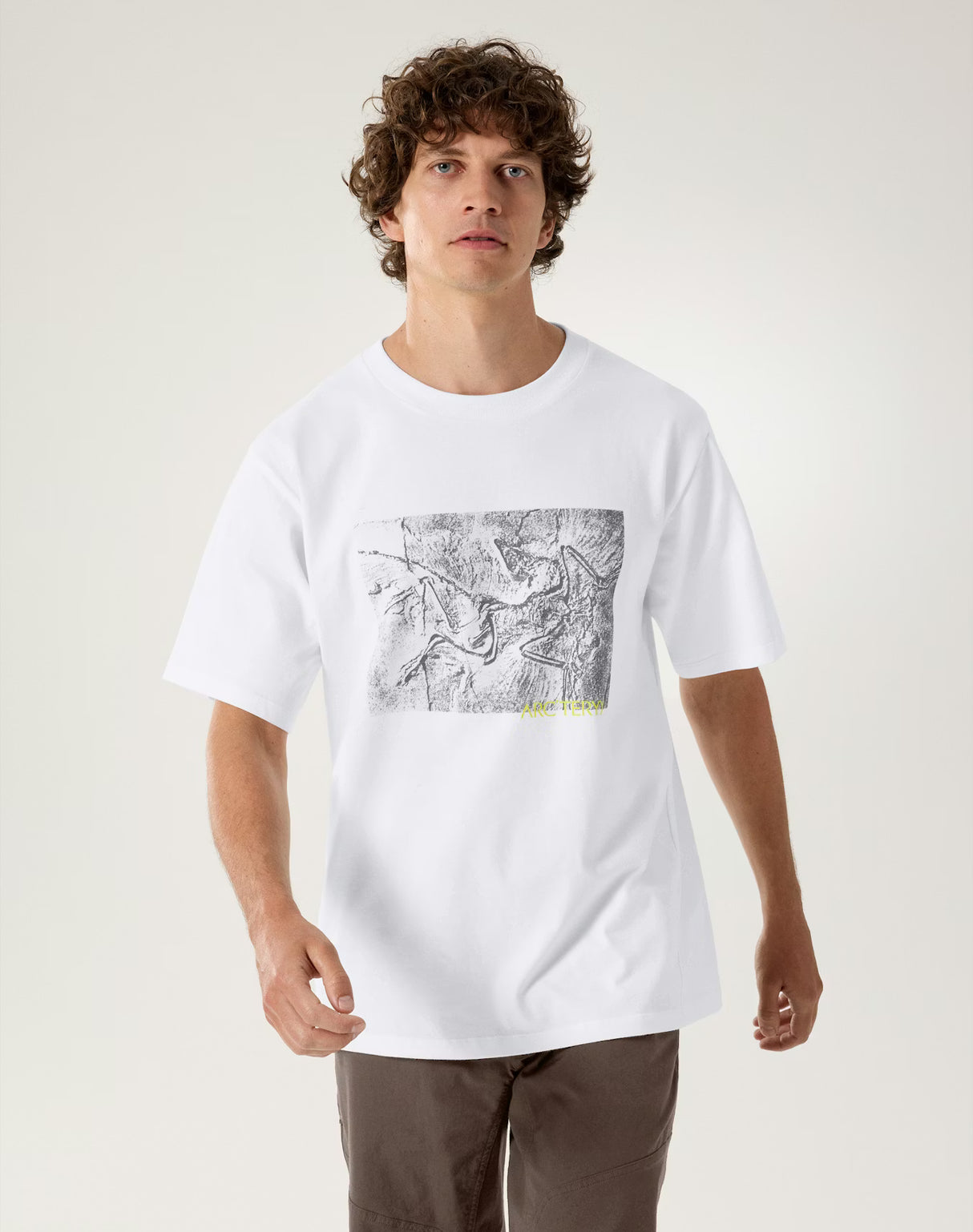 Arc'teryx Cotton Lithographica Short Sleeve Men's