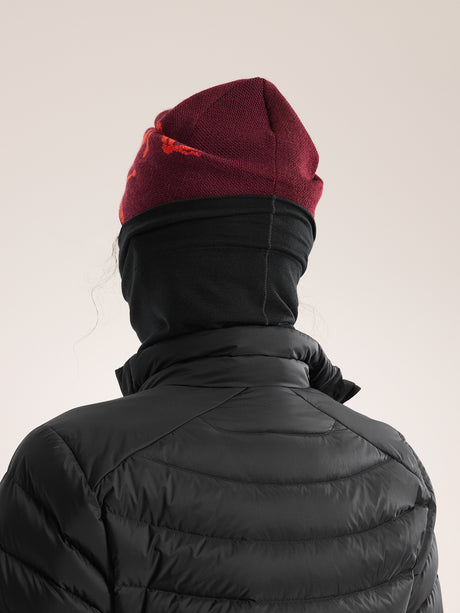Arc'teryx Satoro Neck Gaiter