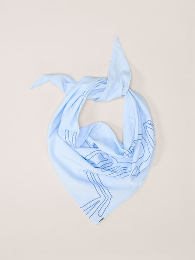 Arc'teryx Sinsolo Bandana
