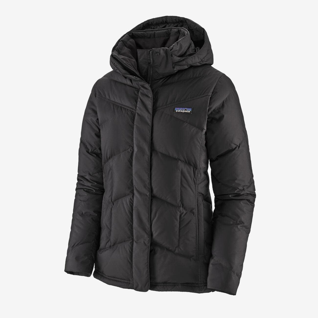 Patagonia Down with It Jacket Women's
