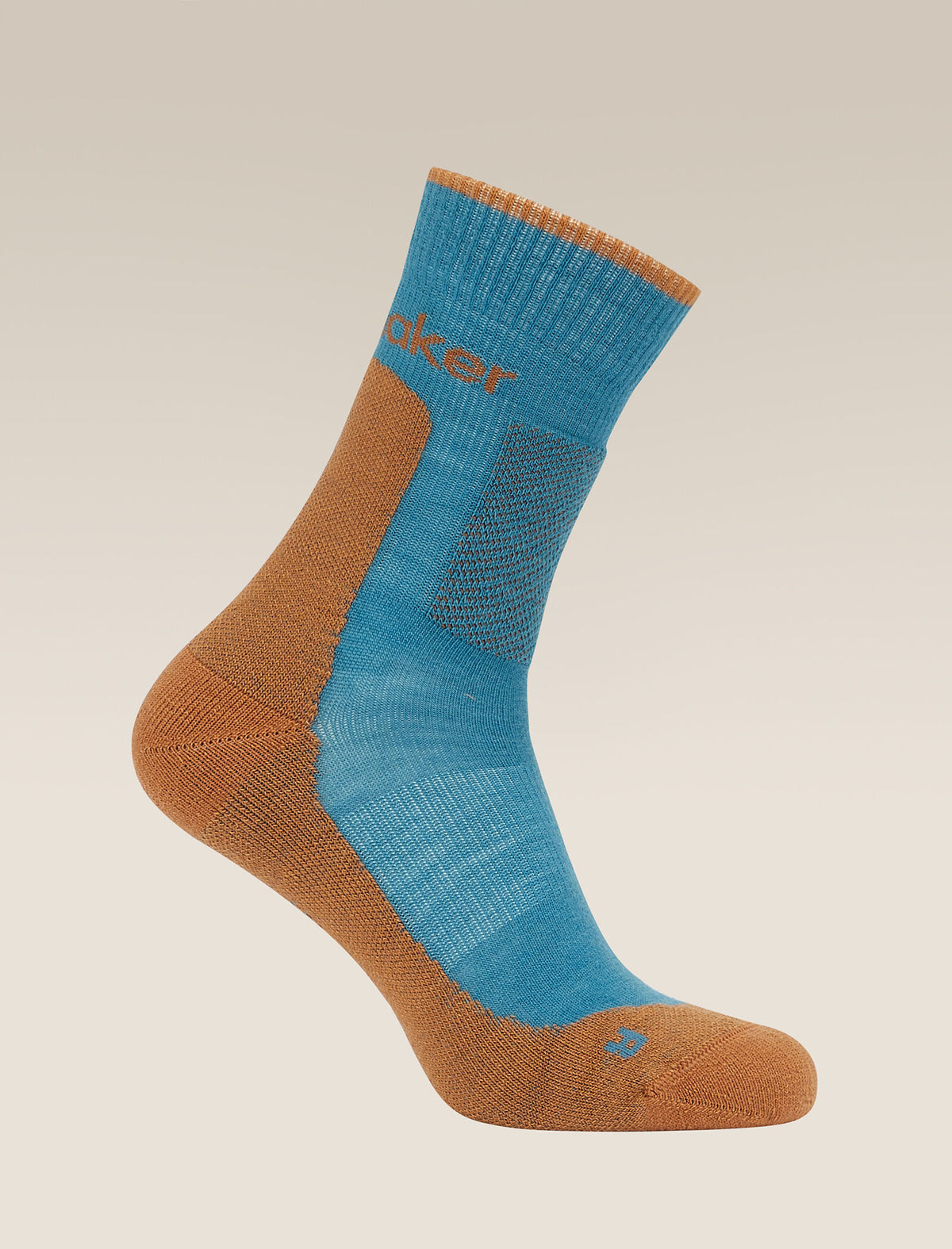 Icebreaker Merino Hike+ Medium Crew Sock Men's