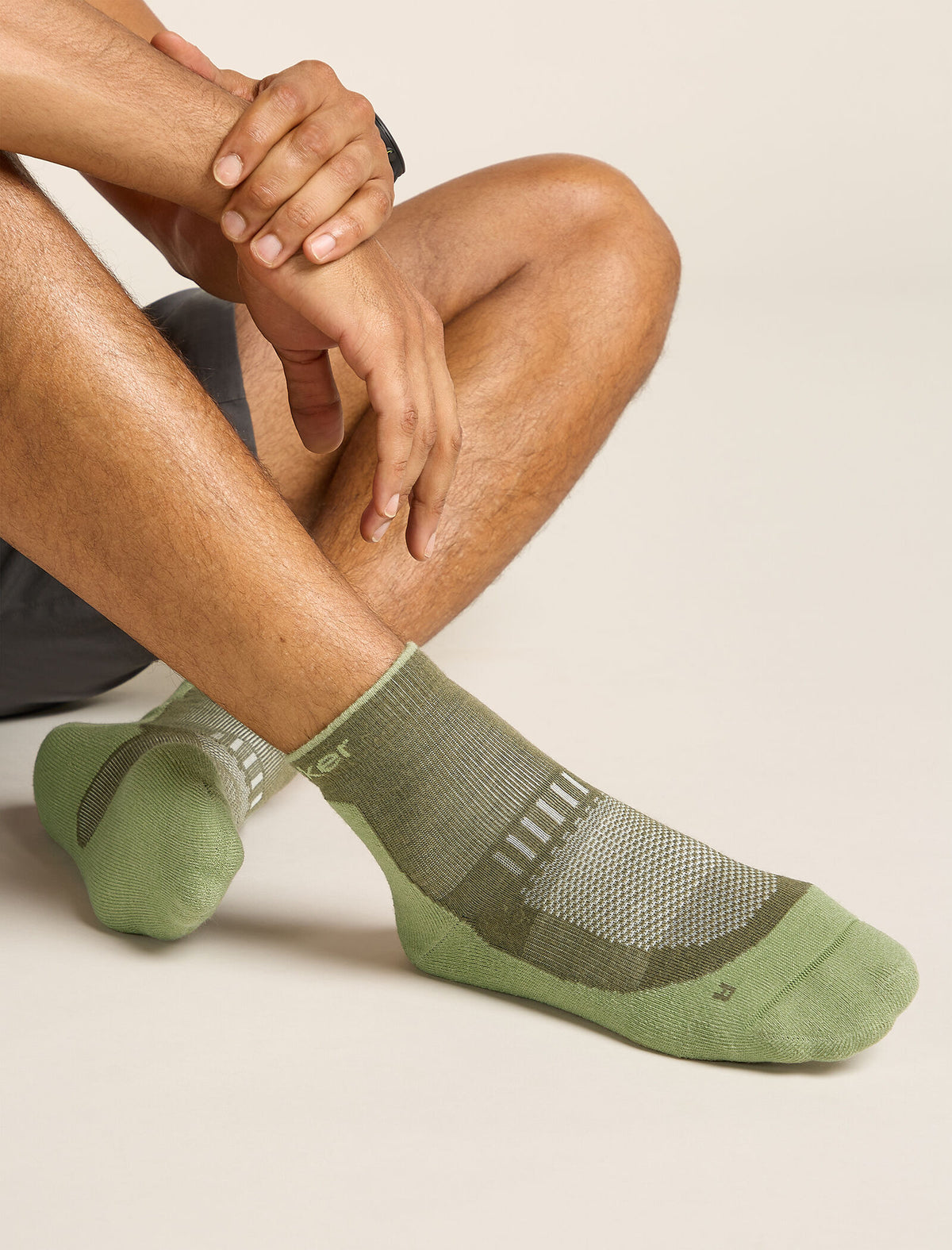 Icebreaker Merino Hike+ Light Mini Sock Men's