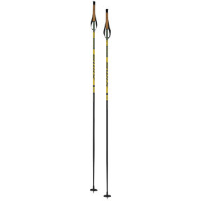 Swix Infinity Basic Ski Pole