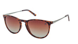 Urban Element Keaton Polarized Sunglasses