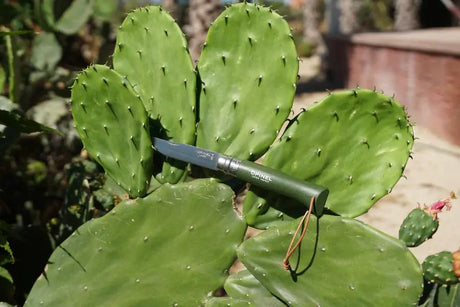 Opinel No.8 Colorama Stainless Steel Knife
