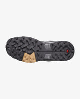 Salomon X Ultra 5 GTX Shoe Women's