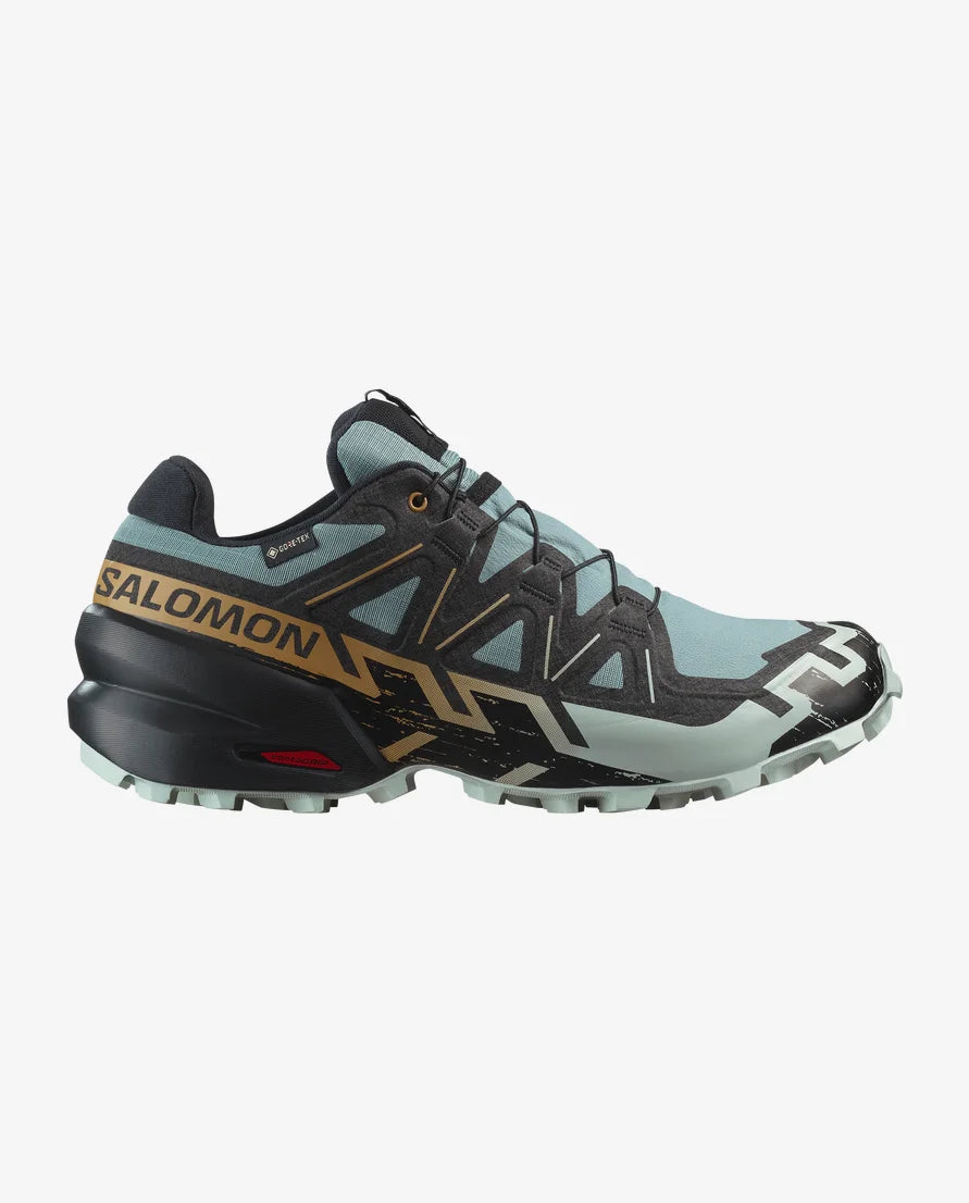 Salomon Speedcross 6 GTX Shoe Men's