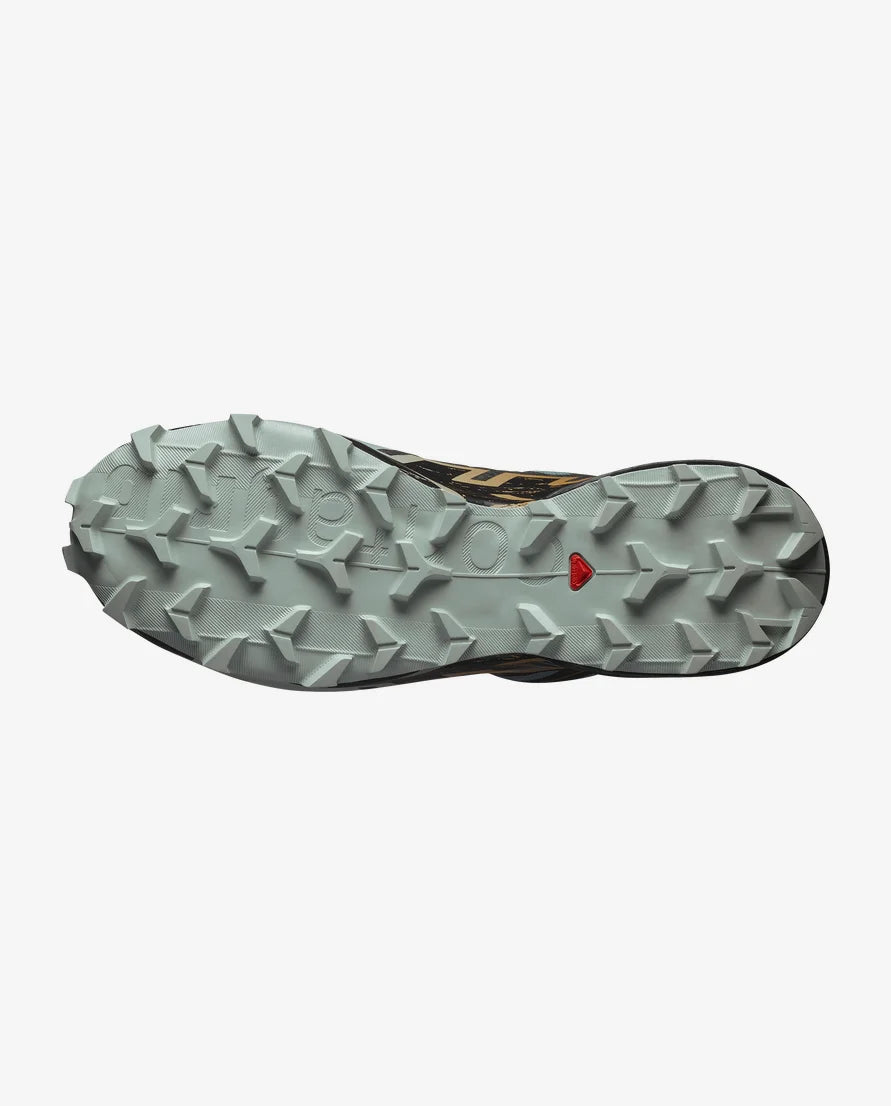 Salomon Speedcross 6 GTX Shoe Men's