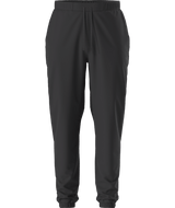 The North Face Paramount Jogger Pant Men's