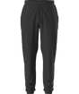 The North Face Paramount Jogger Pant Men's