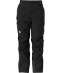 The North Face Insulated Freedom Pant Men's