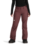 The North Face Insulated Freedom Pant Women's