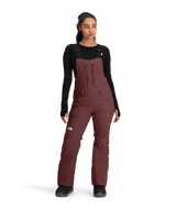 The North Face Insulated Freedom Bib Women's