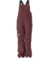 The North Face Insulated Freedom Bib Women's