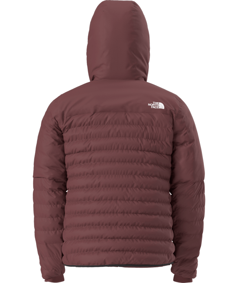 The North Face Terra Peak Hoodie Men's
