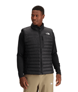 The North Face Terra Peak Vest Men's