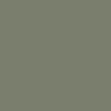 Clipper Canoe Prospector 14 Kevlar Avocado Black Trim