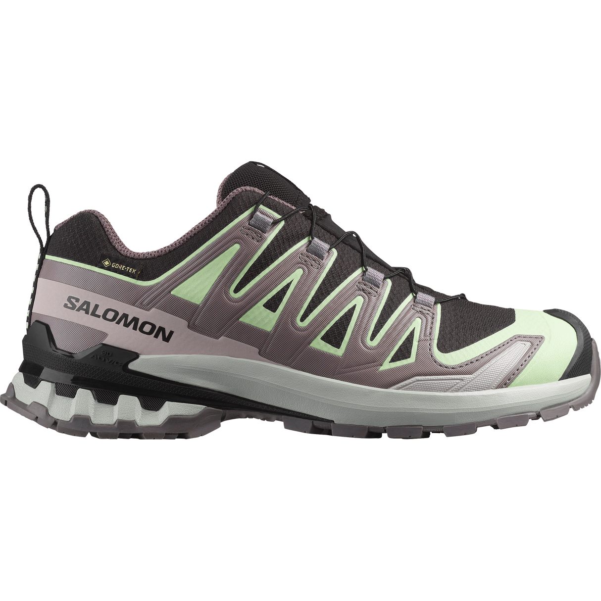 Salomon XA Pro 3D V9 GTX Hiking Shoe Women's