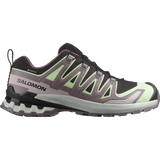 Salomon XA Pro 3D V9 GTX Hiking Shoe Women's