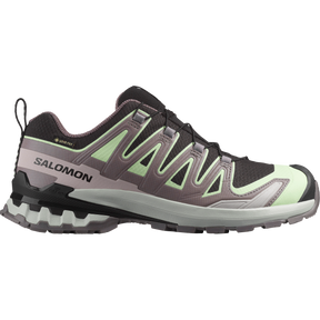 Salomon XA Pro 3D V9 GTX Hiking Shoe Women's