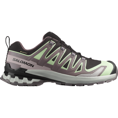 Salomon XA Pro 3D V9 GTX Hiking Shoe Women's
