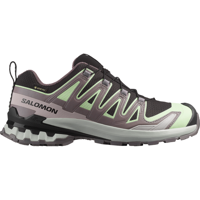 Salomon XA Pro 3D V9 GTX Hiking Shoe Women's