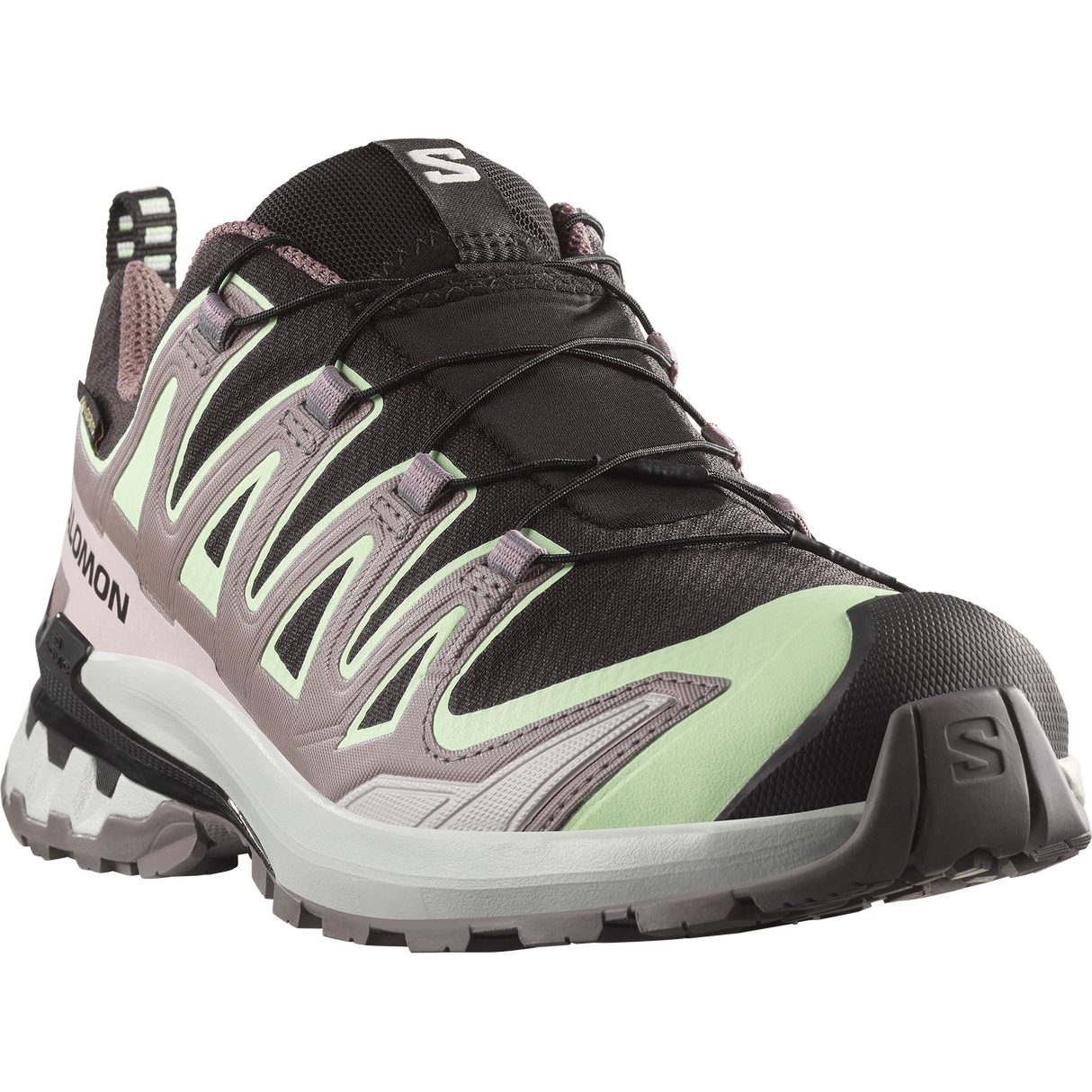 Salomon XA Pro 3D V9 GTX Hiking Shoe Women's